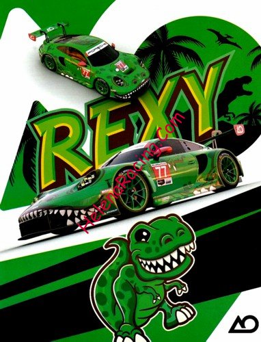 Card 2025 Daytona 24 h Recto (NS).jpg