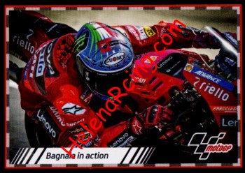 2022 Moto GP-206.jpg