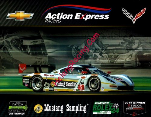 Card 2015 Sebring 12 h (NS).jpg