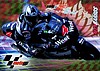 2002 Moto GP-057.jpg
