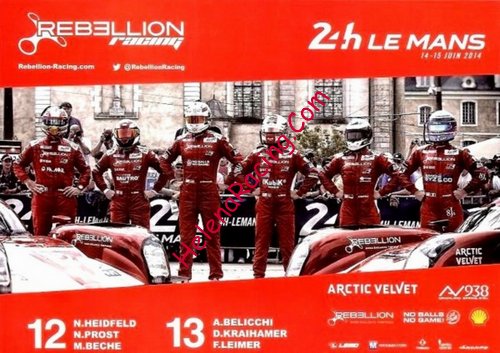 Card 2014 Le Mans 24 h Verso (NS)-.jpg