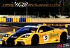 Card 1995 Le Mans 24 h-ACO (NS)-.jpg