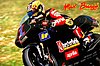 Card 1996 Moto 250cc (NS).jpg