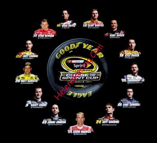 Card 2013 Sprint Cup-Chase Verso (NS).jpg