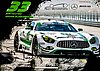 Card 2018 IMSA-GTD (S)-.jpg
