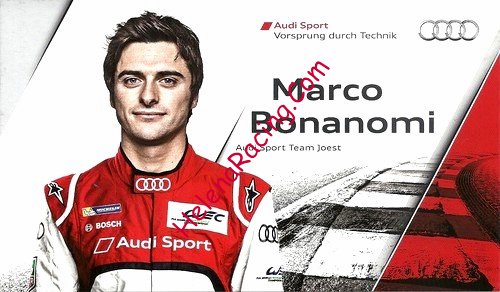 Card 2013 WEC-LMP1 (NS).jpg