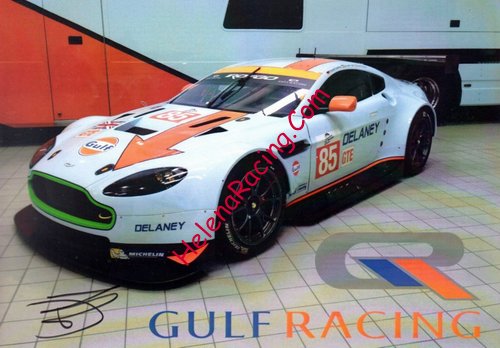 Card 2014 ELMS-GTE (S).jpg