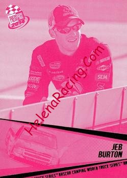 2014- Pass-Pink.jpg