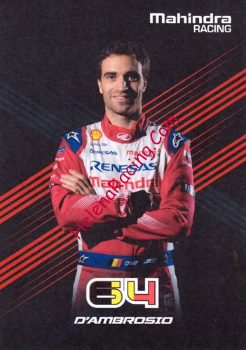 Card 2019 Formula E (NS).jpg