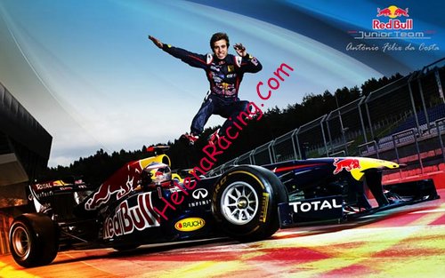 Card 2013 Red Bull (NS).jpg