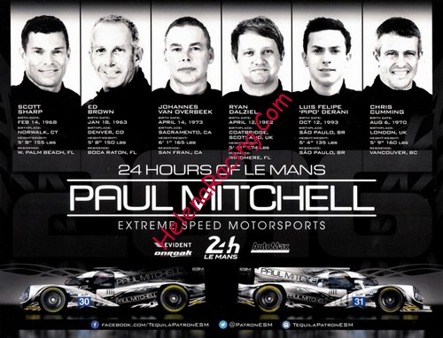 Card 2016 Le Mans 24 h Verso (NS).jpg