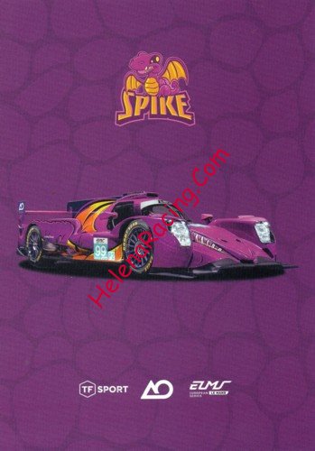 Card 2025 ELMS-LMP2 Recto (NS).jpg