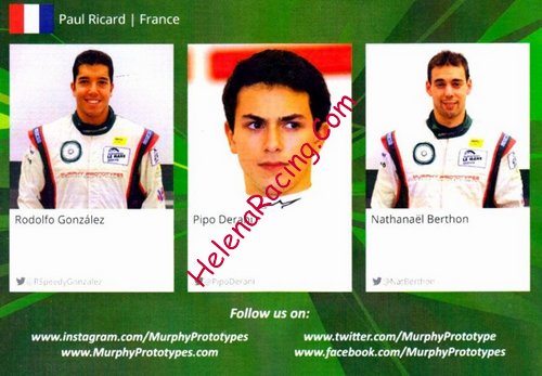 Card 2014 ELMS-LMP2 Verso (NS).jpg