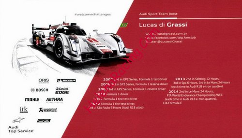 Card 2014 WEC-LMP1 Verso (NS).jpg