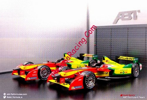 Card 2015 Formula E Recto (NS)-.jpg
