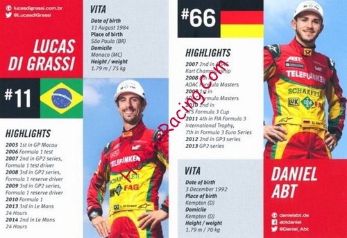 Card 2015 Formula E Verso (NS)-.jpg