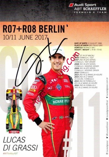 Card 2017 Formula E-3-Berlin (S)-.jpg