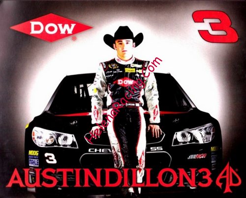 Card 2014 Sprint Cup-DOW (NS).JPG