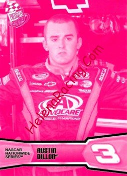 2013 Pass-Pink.JPG