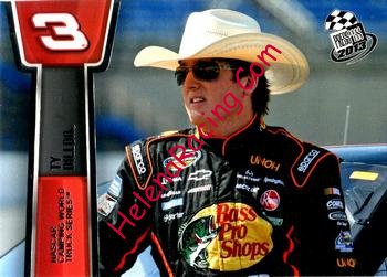2013 Pass.jpg