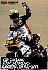 Card 2007 Moto 250cc-Misano (NS).jpg