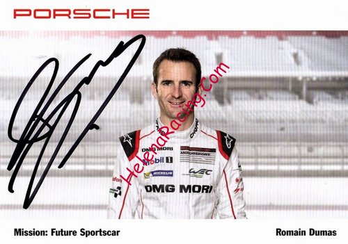 Card 2015 WEC-LMP1 (S).jpg