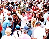 Indy 1978-Winner (NS).jpg