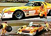 Card 1977 Winston Cup (NS)-.jpg