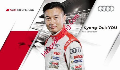 Card 2014 Audi R8 LMS Cup (NS).jpg