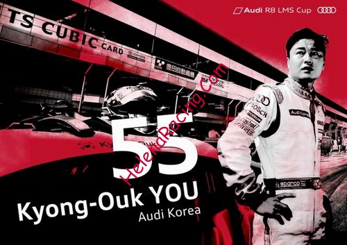 Card 2015 Audi R8 LMS Cup (NS).jpg