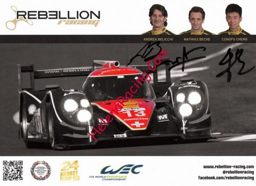 Card 2013 Le Mans 24 h (S).jpg